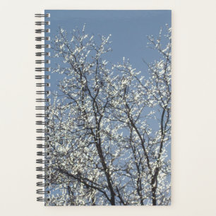 Agenda Ramas heladas en el cielo azul invernal