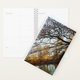 Agenda Ramas y árboles