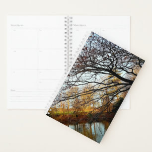 Agenda Ramas y árboles