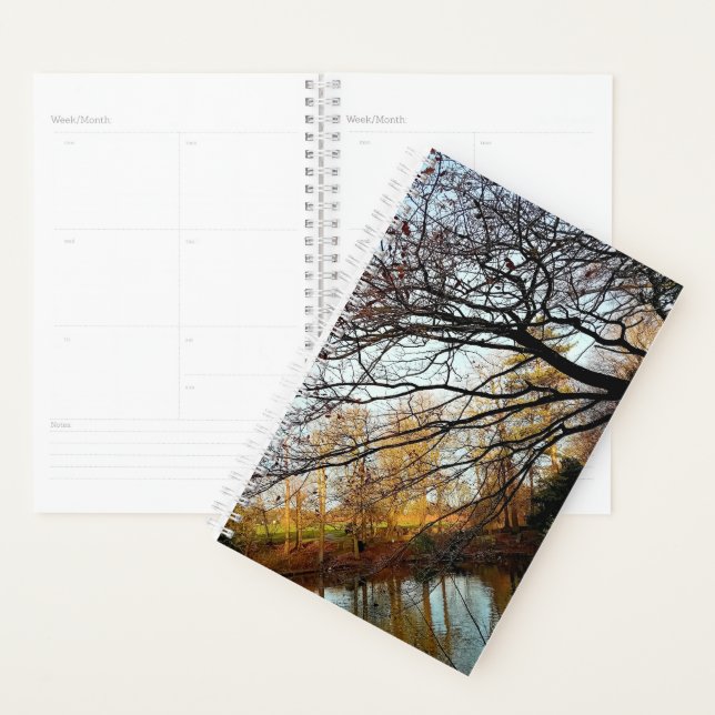 Agenda Ramas y árboles (Demostración)