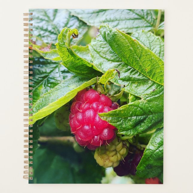 Agenda Raspberry Planner (Anverso)