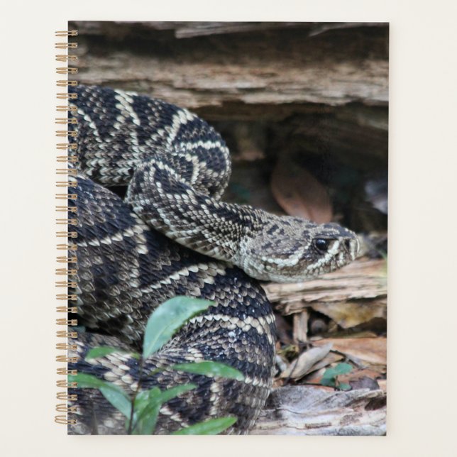 Agenda Rattlesnake (Anverso)