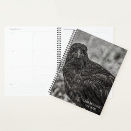 Agenda Raven P9239
