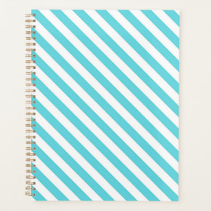 Agenda Rayas diagonales clásicas azules y blancas