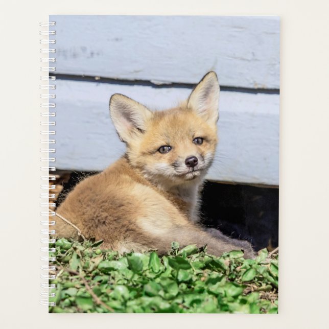 Agenda Red Fox Kit 2024 (Anverso)
