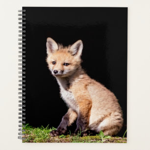 Agenda Red Fox Kit 2024