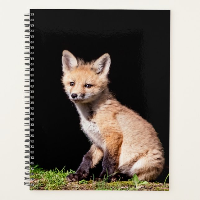 Agenda Red Fox Kit 2024 (Anverso)