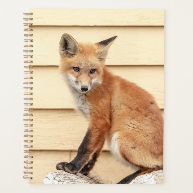 Agenda Red Fox Kit 2024 (Anverso)