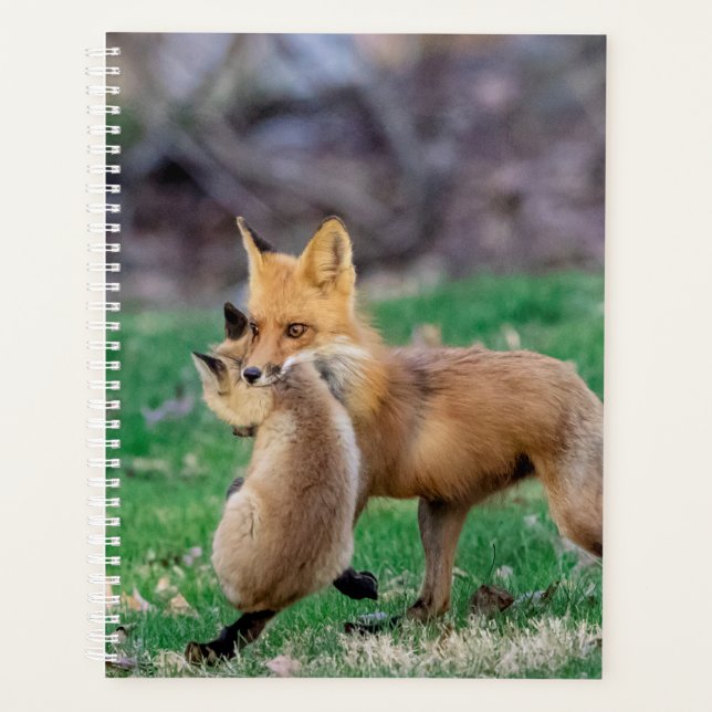 Agenda Red Fox y Kit 2024 (Anverso)