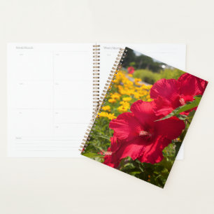 Agenda Red Hibiscus
