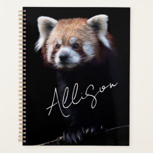 Agenda Red Panda Planner