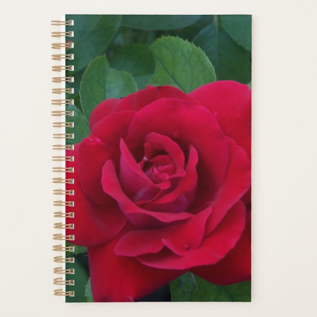 Agenda Red Rose Close (Anverso)