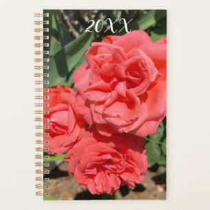 Agenda Red Rose Flower Cluster In Garden Photograph