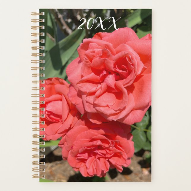 Agenda Red Rose Flower Cluster In Garden Photograph (Anverso)