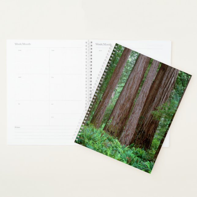 Agenda Redwoods Antiguos Imponentes (Demostración)