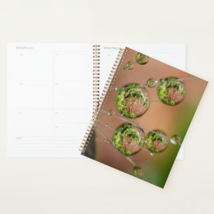 Agenda Reflejo de gotas de agua