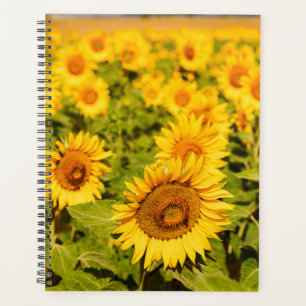 Agenda Regalo con temas de girasol para los amantes de lo