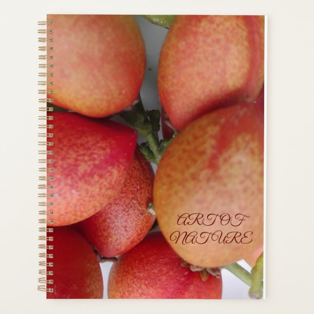 Agenda Regalo de arte de frutas naturales de la valentina (Anverso)