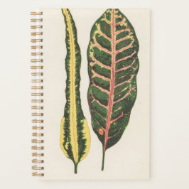 Agenda Regalo de feriado verde de cumpleaños