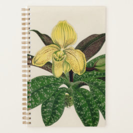 Agenda Regalo de planta de flores amarillas