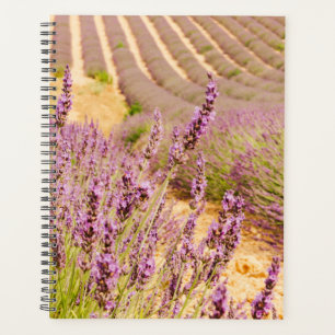 Agenda Regalo temático de Lavender para los viajeros