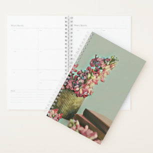Agenda Regalos únicos para los bibliotecarios
