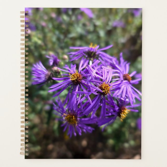 Agenda Resplandor Púrpura de Otoño (Anverso)