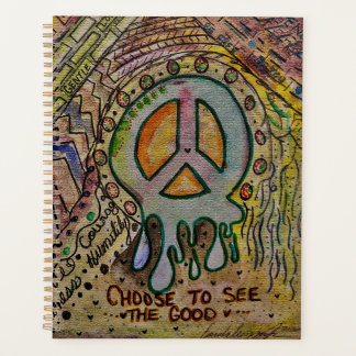 Agenda Resumen del plan de paz interno