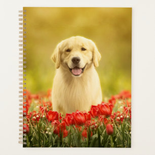 Agenda Retirador de oro en flores rojas