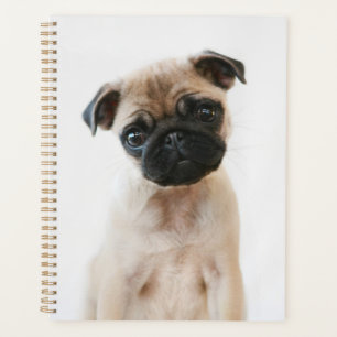 Agenda Retrato de Baby Pug