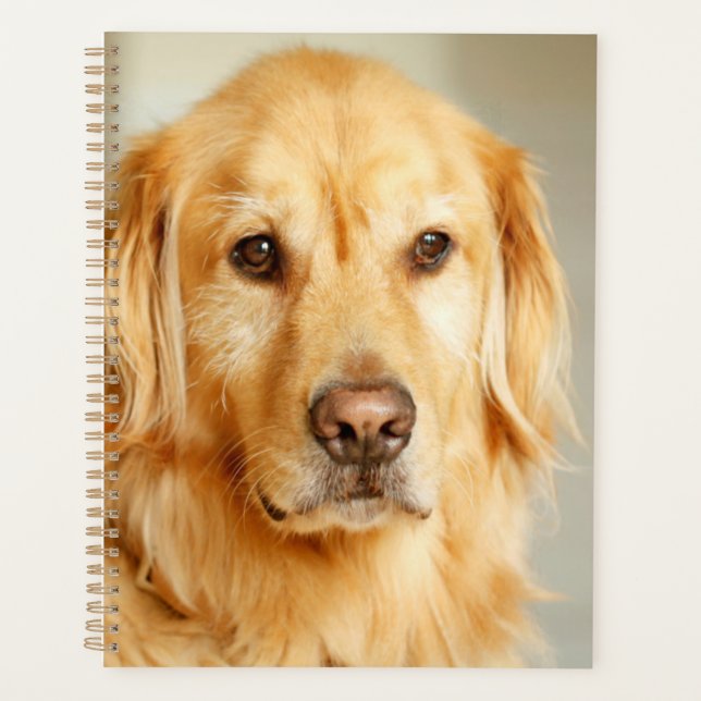 Agenda Retrato de Golden Retriever (Anverso)
