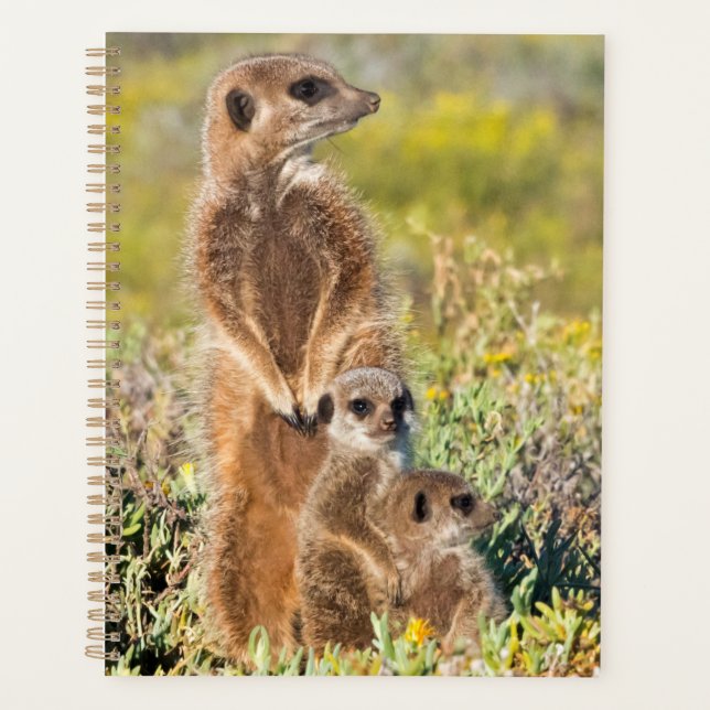 Agenda Retrato de la familia Meerkat (Anverso)