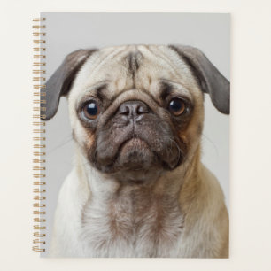 Agenda Retrato de Pug