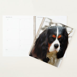 Agenda Retrato De Un Rey Charles Cavalier Spaniel
