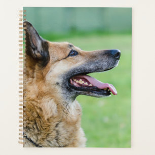 Agenda Retrato lateral de Pastor Alemán