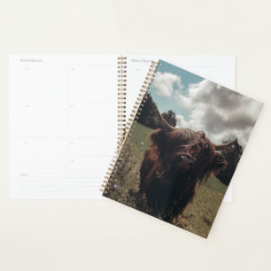 Agenda Retro vintage de vacas de raza negra escocesa