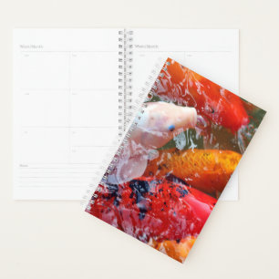 Agenda Reunión de otoño de Koi