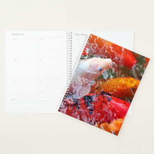 Agenda Reunión de otoño de Koi