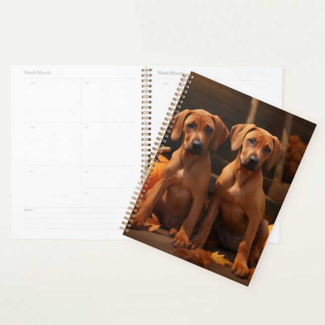 Agenda Rhodesia Ridgeback Puppy Calabaza deslumbrante de  (Demostración)
