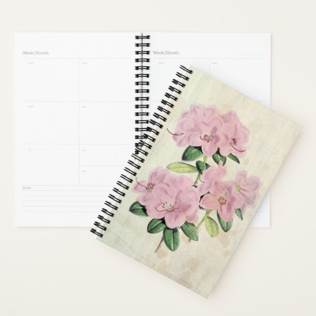 Agenda Rhododendrón de flores tempranas de época (Demostración)
