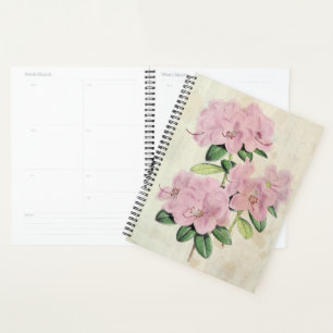 Agenda Rhododendrón de flores tempranas de época