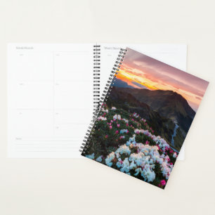 Agenda Rhododendron floreciendo Parque nacional de Taro