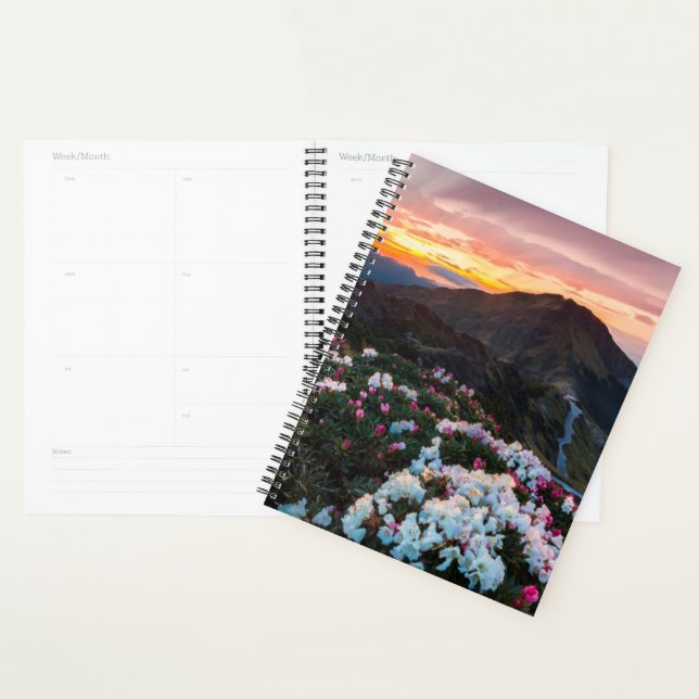 Agenda Rhododendron floreciendo | Parque nacional de Taro (Demostración)