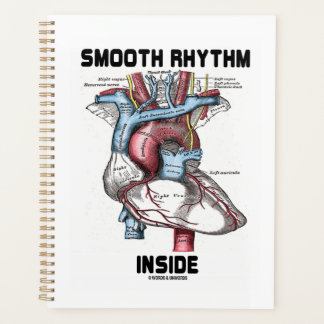 Agenda Ritmo suave dentro del corazón anatómico médico
