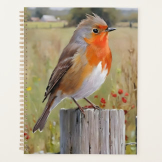 Agenda Robin Redmama