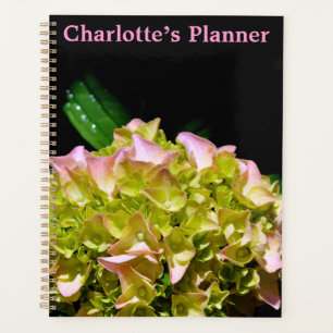 Agenda Rosa amarillo verde Hydrangea flor amarilla rosa