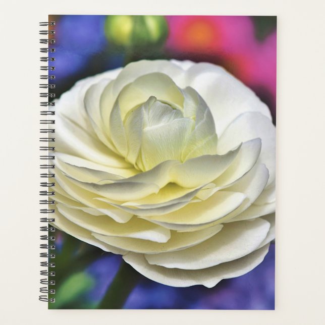 Agenda Rosa blanca (Anverso)