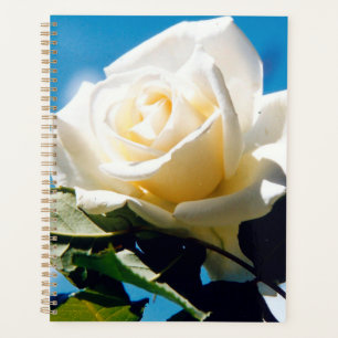 Agenda Rosa blanca bajo cielo azul
