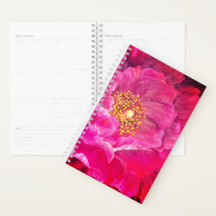 Agenda Rosa De Cactus Rosa De Sm Planner