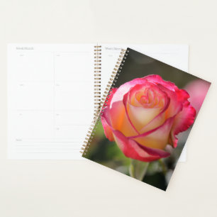 Agenda Rosa de doble luz